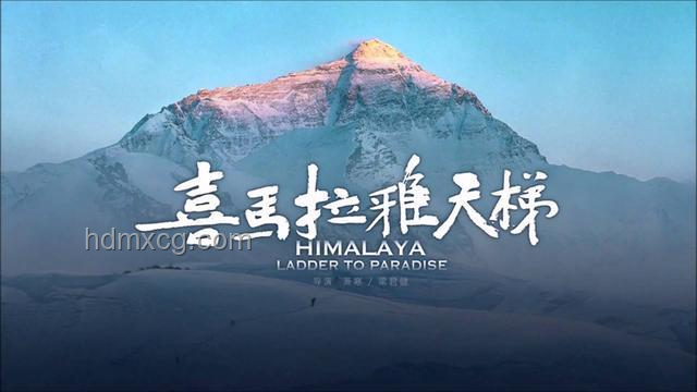 《东极岛》映前预热：用创新思维解锁电影期待新维度，跨界融合预告魅力